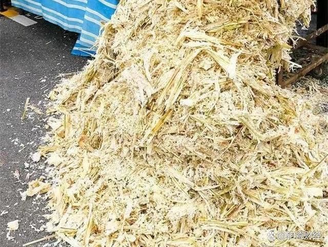 sugarcane1